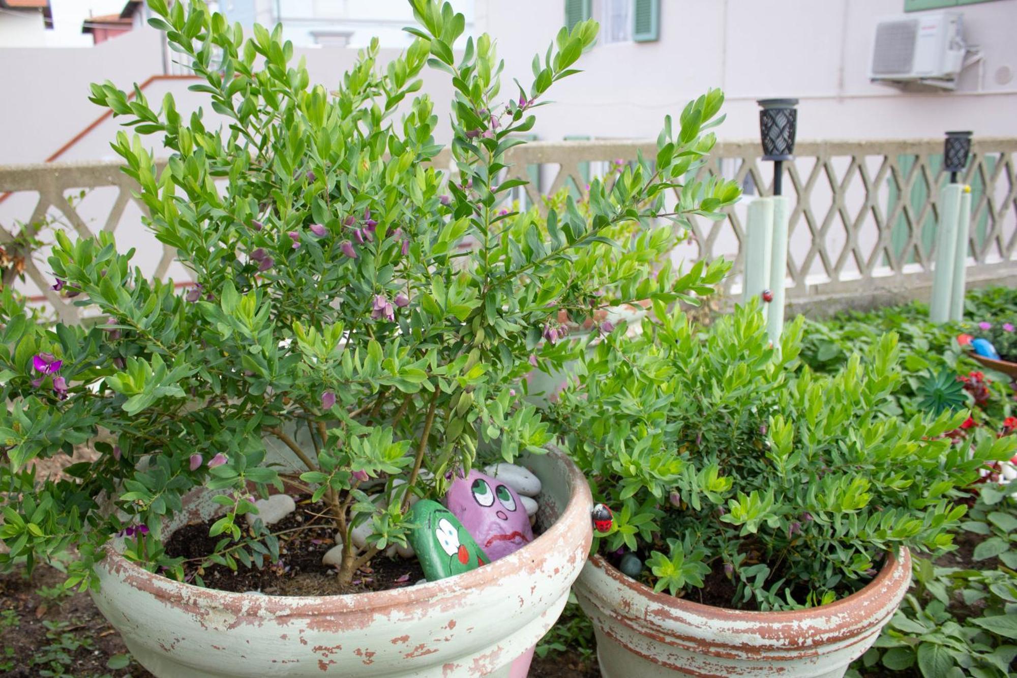 شقة La Coccinella مارينا دي بيزا المظهر الخارجي الصورة